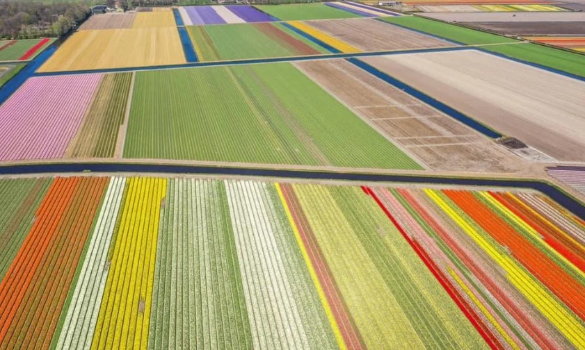 Invoer en uitvoer Verenigd Koninkrijk: feiten en cijfers